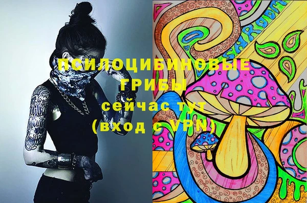 прущие крисы Арсеньев