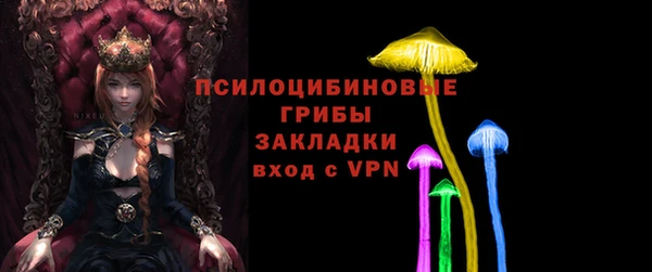 хмурый Армянск