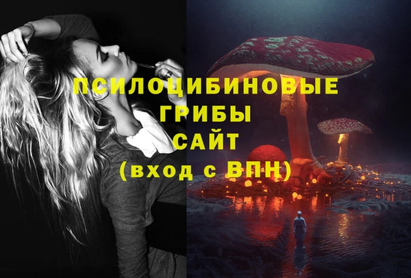 хмурый Армянск