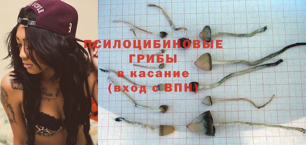 прущие крисы Арсеньев
