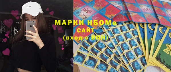 гашик Балахна
