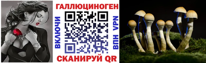 Галлюциногенные грибы мухоморы  Бирюч 